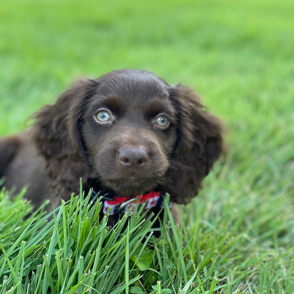 Meet your Posher, Eloise